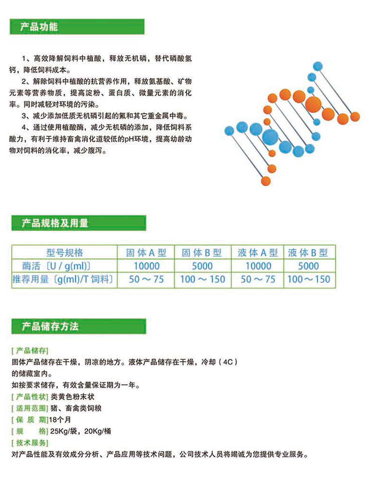 耐热植酸酶2.jpg