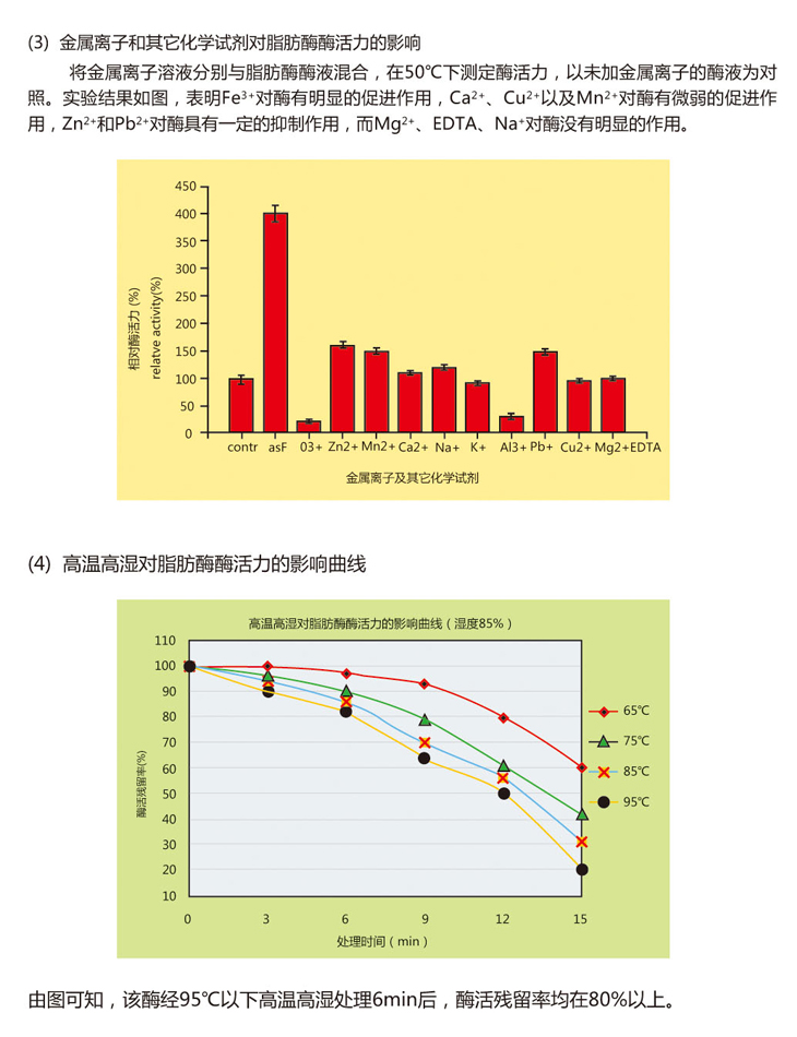 饲用脂肪酶酶3.jpg