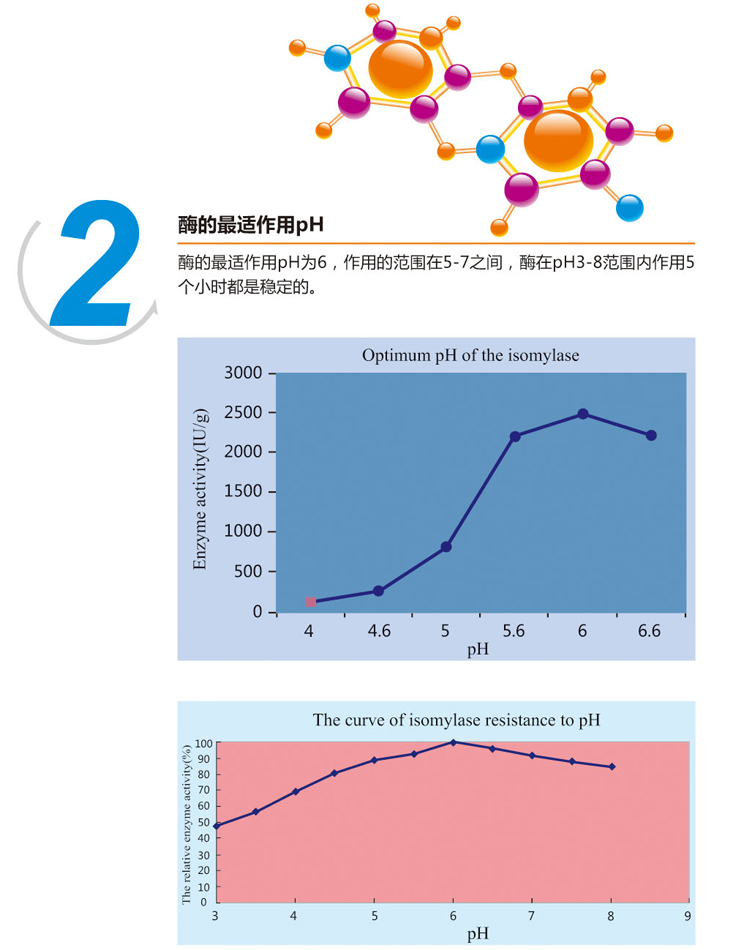 饲用异淀粉酶3.jpg