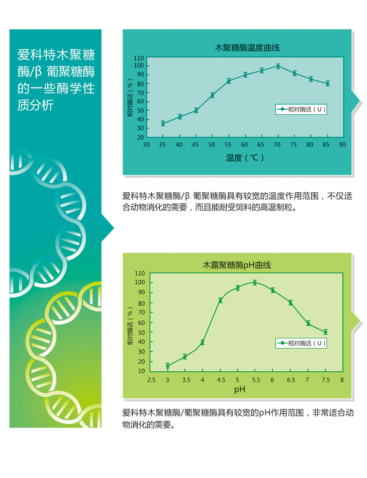 木聚糖酶宣4.jpg